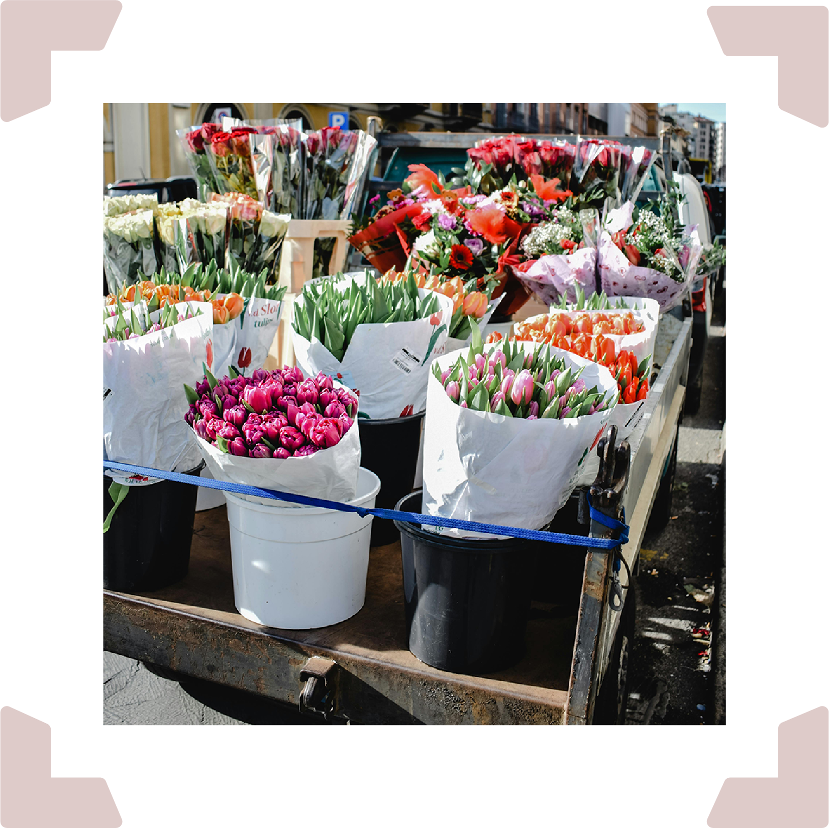 A bed of a truck with assortments of different colored flowers